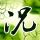 《伊苏8》PC版再度跳票 或延期至明年年初发售
